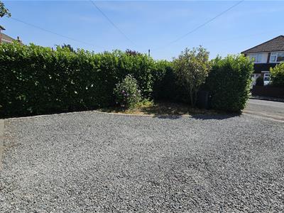 Picture 43
